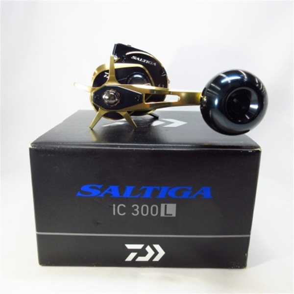 ２１ソルティガＩＣ３００ ６．３ 左